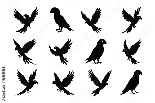 Set of Parrot silhouette vector 