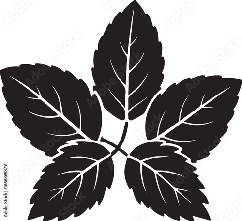 mint leaves silhouette, vector and illustration, black and white