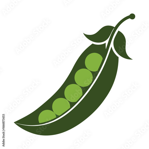 a green pea pod with two peas inside