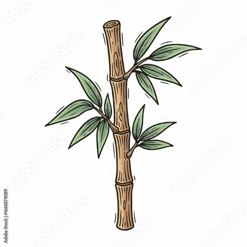 Hand-drawn bamboo plant illustration with green leaves. Asian nature symbol, traditional style vector graphic for cultural designs and decoration.