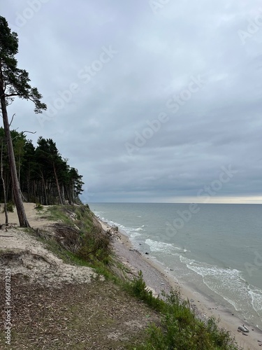 beach and sea