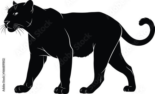 Black panther vector silhouette illustration, wild big cat in walking pose, jungle predator, elegant animal design for wildlife artwork