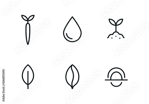 vector outline icons Mangrove (seedling): propagule shoot water droplet mud sprig leaf bud seed husk reflection arc.