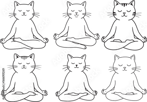 Six meditating cats in a row silhouette