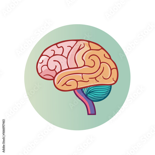 Stylized Human Brain Illustration on Light Green Circle