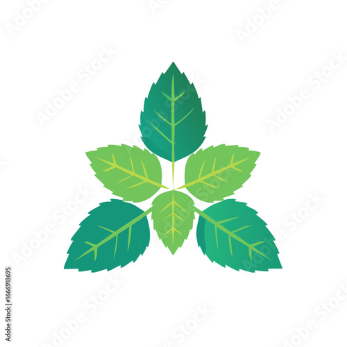 Fresh Mint Leaves Patterned Arrangement on White Backdrop Depicting Coolness