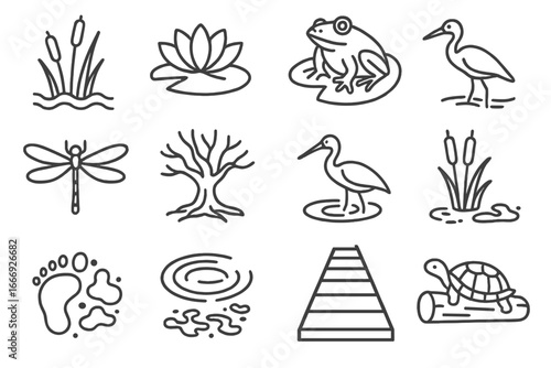 Wetland Line Art. Line style icons of wetlands and swamps: reeds icon, water lily, frog on leaf, dragonfly, swamp tree, wetland