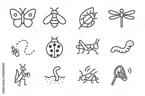 Insect Line Icons. Line style icons of insects and small wildlife: butterfly icon, bee with wings, beetle on leaf, dragonfly, ant