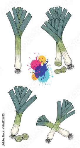Collection of delicious and healthy leeks illustrated with colorful splashes of paint
