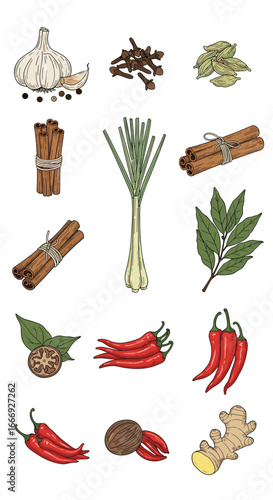 A culinary collection of fresh and dried aromatic spices and herbs for flavorful cooking and gastronomy