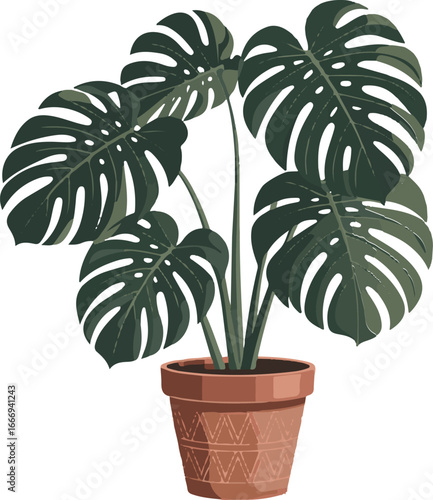 Monstera Deliciosa Plant in a Decorative Terracotta Pot potted plant houseplant