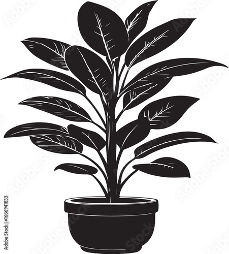 Silhouette of a Ficus Plant in a Simple Pot on White Background houseplant black and white