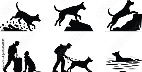 Search and rescue dog silhouettes, canine training, disaster response, detection work, handler teamwork, rubble search, water rescue, working dogs.