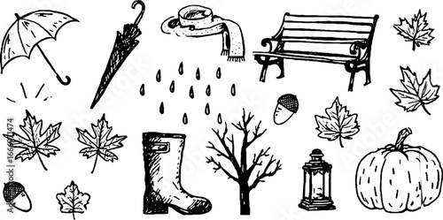 Hand drawn autumn essentials: decorative maple leaves and seasonal elements collection for design use