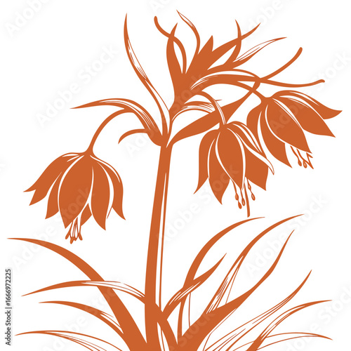 crown imperial funky orange on white background 