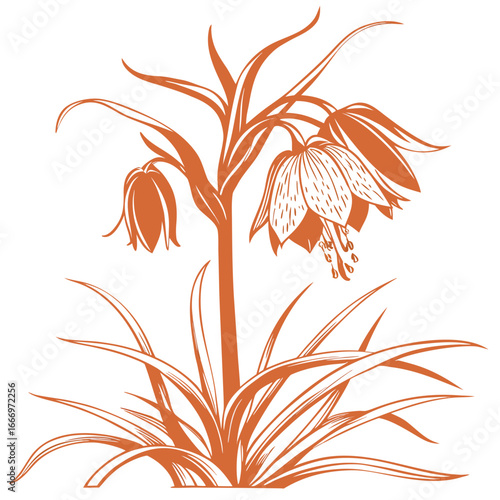 crown imperial funky orange with leaves 