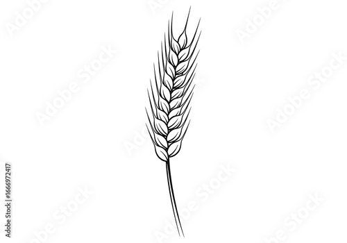 A detailed, stylized representation of a wheat ear is presented against a solid black backdrop.