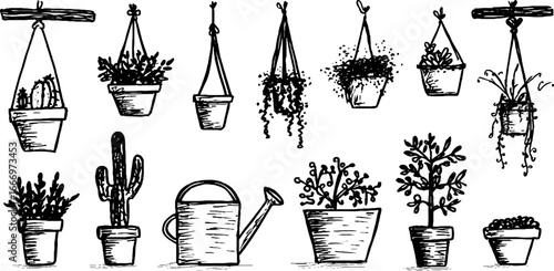 Hand drawn decorative potted succulent plants collection for home decor and design projects