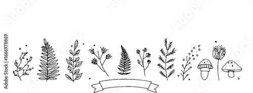 Hand drawn decorative banner with fern fronds and floral elements for design