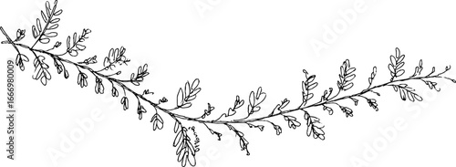 Hand drawn doodle fern leaf garland border for decorative design
