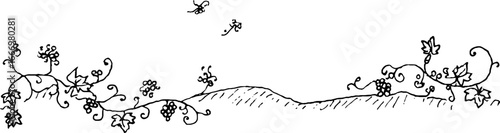 Hand drawn grapevine doodle border for creative designs
