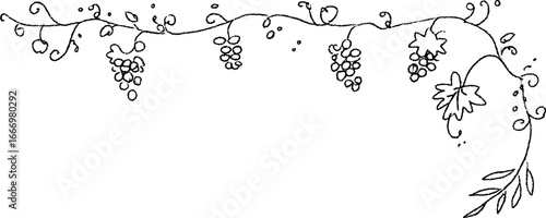 Decorative hand drawn grapevine border with leaves and grapes for creative designs