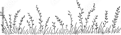Hand drawn doodle border with grassy tuft design for creative projects