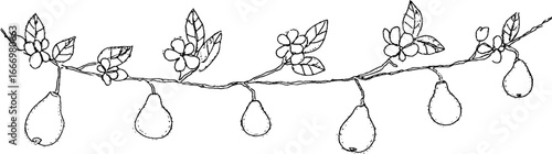 Hand drawn doodle border featuring pears and twigs with floral elements for creative design