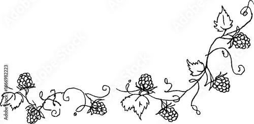 Elegant hand drawn doodle border with raspberry sprigs for creative designs