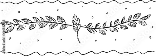 Hand drawn doodle wheat stalk border design for decorative projects