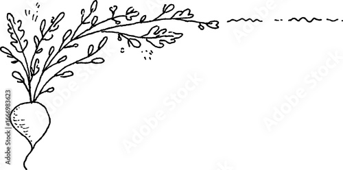 Hand drawn doodle of radish with stylized corner curl design for creative projects