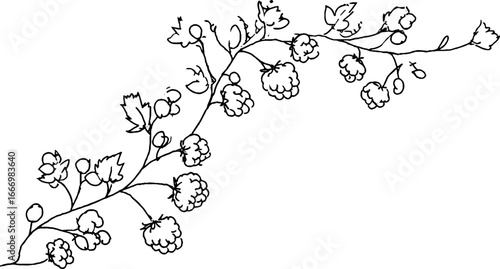 Hand drawn doodle raspberry sprig corner design for creative projects