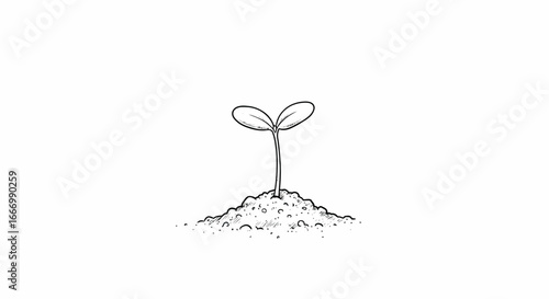 A small seedling emerges from the soil symbolizing new beginnings growth and the promise of future abundance and flourishing life in a natural environment