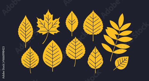 Collection of various autumnal leaf silhouettes, in a flat design style.
