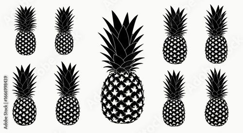 A collection of stylized black and white pineapples arranged symmetrically on a plain background.
