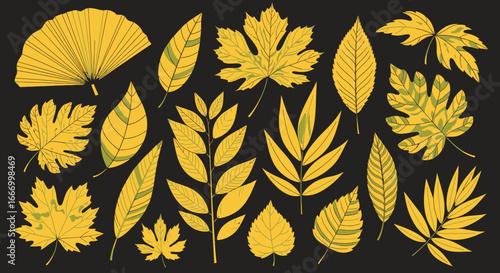 A collection of various golden colored leaf illustrations, showcasing different shapes and sizes, arranged on a dark background.