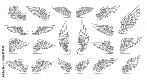 A collection of detailed, stylized, and illustrated wing designs in various positions, angles, and orientations.