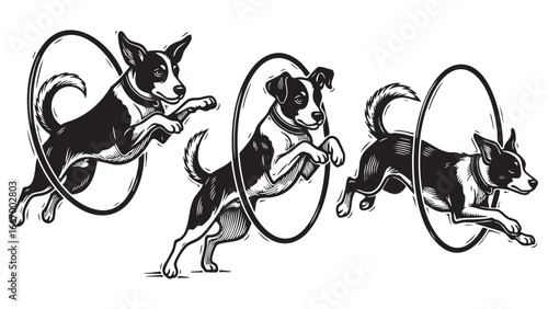 Dynamic dogs leaping through hoops in a black and white illustration with playful energy