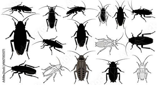 Diverse cockroach silhouettes and illustrations capture pest control needs and scientific study.