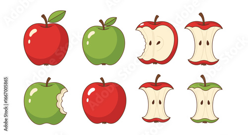 Vibrant red and green apples whole and bitten plus apple cores in a clean cartoon style illustration