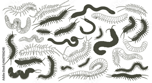 Vibrant collection of diverse centipedes and millipedes in various colors and styles