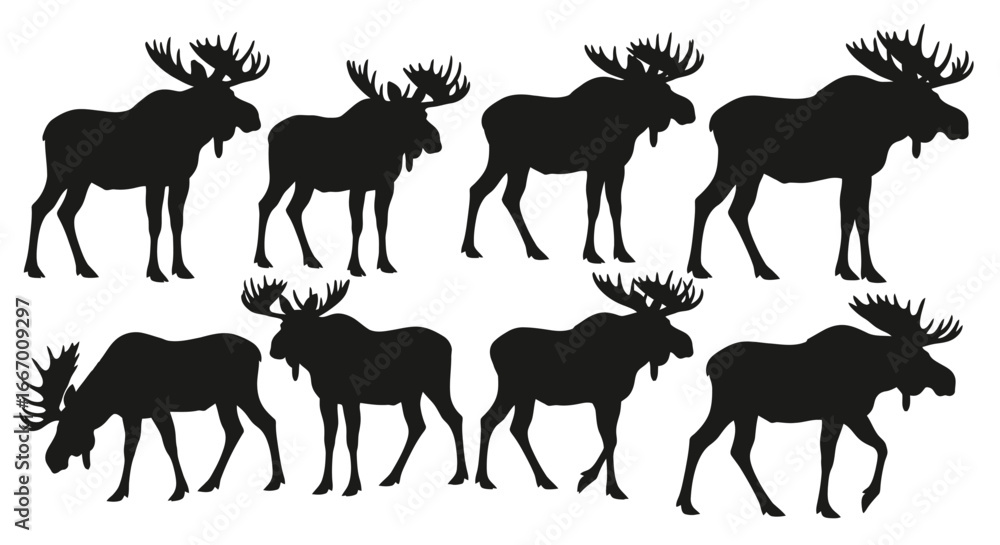 Fototapeta premium Multiple moose silhouettes are arranged in two rows against a white background, showcasing their distinctive antlers and body shapes.
