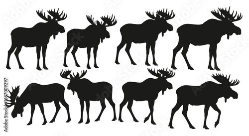 Multiple moose silhouettes are arranged in two rows against a white background, showcasing their distinctive antlers and body shapes.