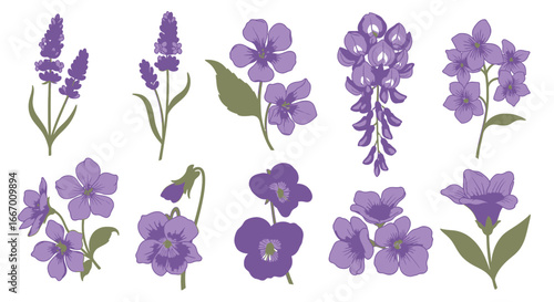 Beautiful hand-drawn purple wildflowers and lavender create a charming botanical collection for design projects.