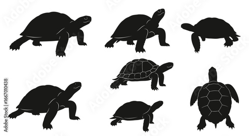 Diverse turtle silhouettes showcase different poses and perspectives, ideal for educational or natural history projects