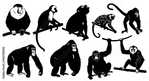 Dynamic collection of black and white primate silhouettes in various poses on branches
