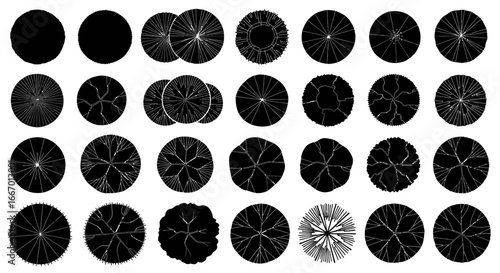 Diverse tree top view silhouettes for landscape design projects and architectural plans in a modern style