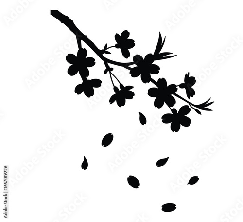 Cherry blossom branch with falling petals silhouette isolated black and white vector illustration