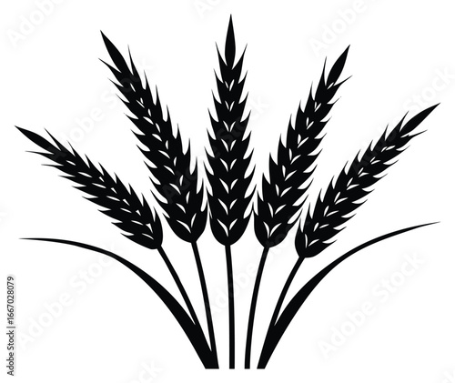 Illustration of wheat ears in black and white showing agriculture