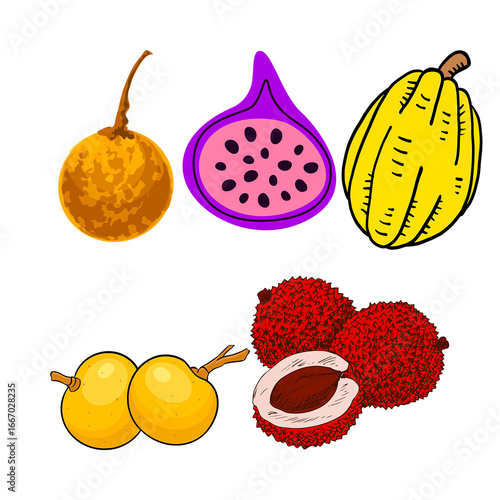 Large collection of fruit and vegetable vector icons. Set includes exotic tropical fruits, citrus, and vegetables like durian, papaya, onion, and pumpkin for healthy food and grocery designs.